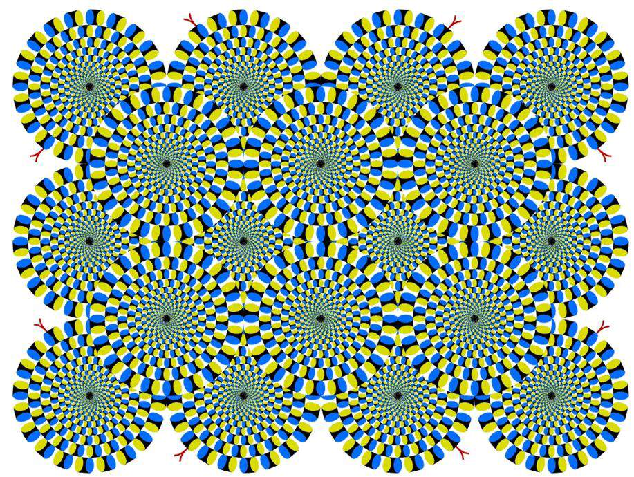 opticalillusion1.jpg