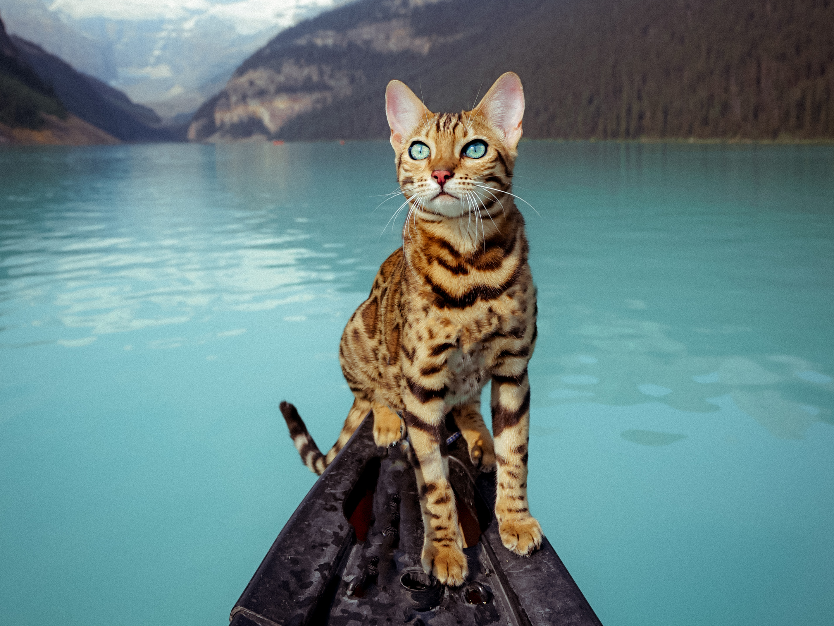 5e4d677681a9aa060e0e1ebd