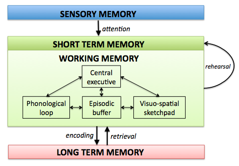 working-memory.png