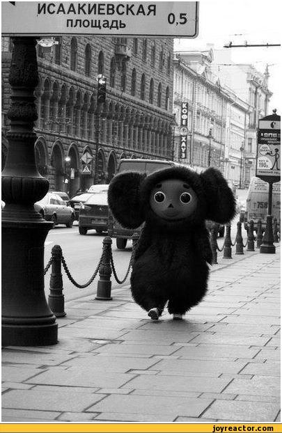 auto-cheburashka-topple-meanwhile-in-199419.jpeg