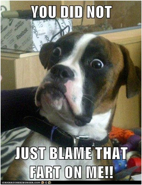 fart-meme.jpg