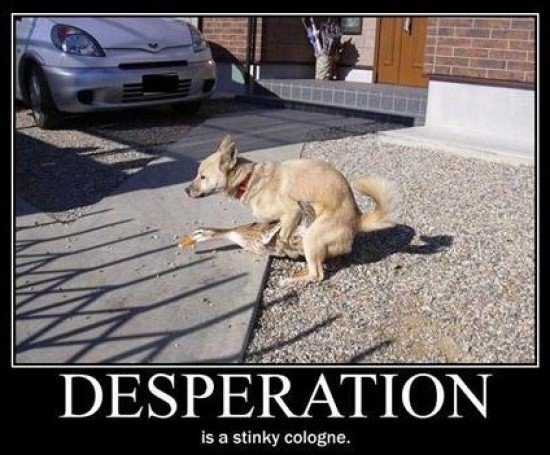 Desperation_d5e5f0_1295937.jpg