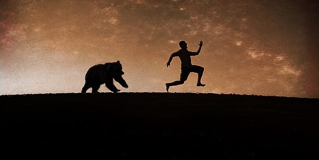 exit-pursued-by-a-bear-640x321.jpg
