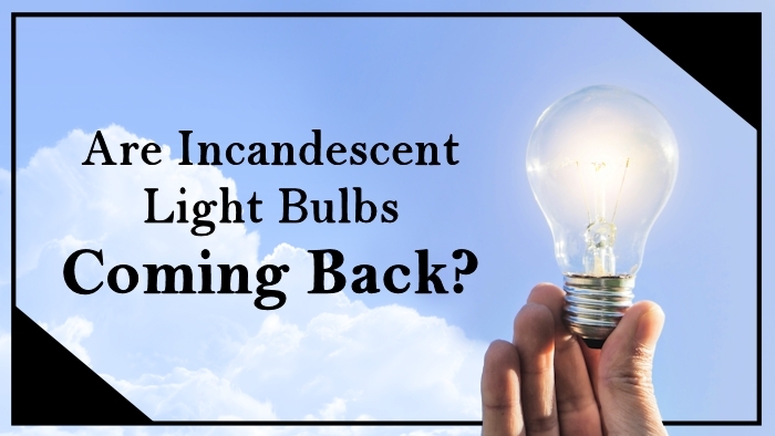 www.lightbulbs.com