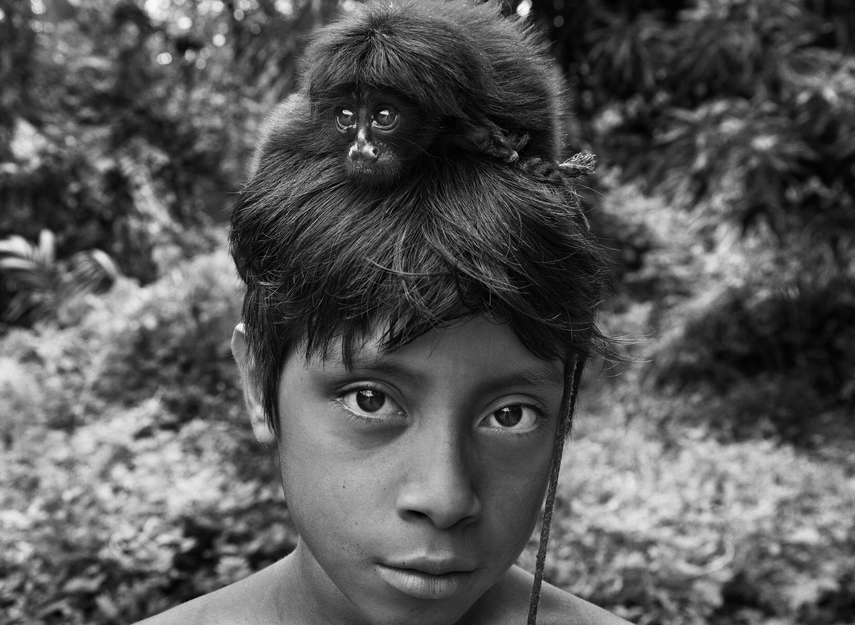 braz-awa-salgado-2013-07_gallery_large.jpg