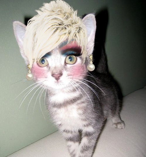 f1b0266a80e0e70810b0a5732898e5e6