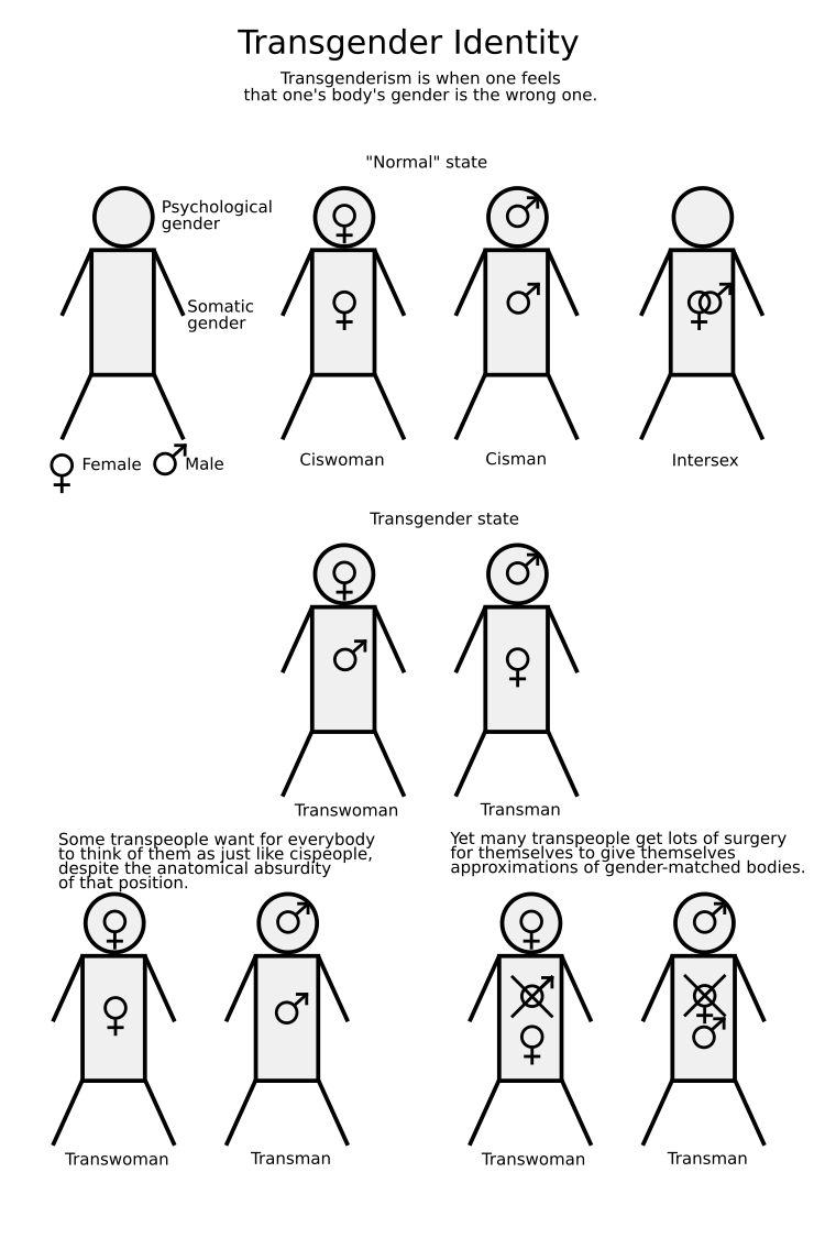 Transgender%20Identity.png