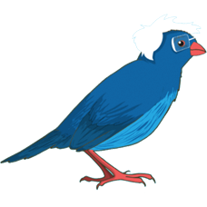 bsanders-astro.pages.dev